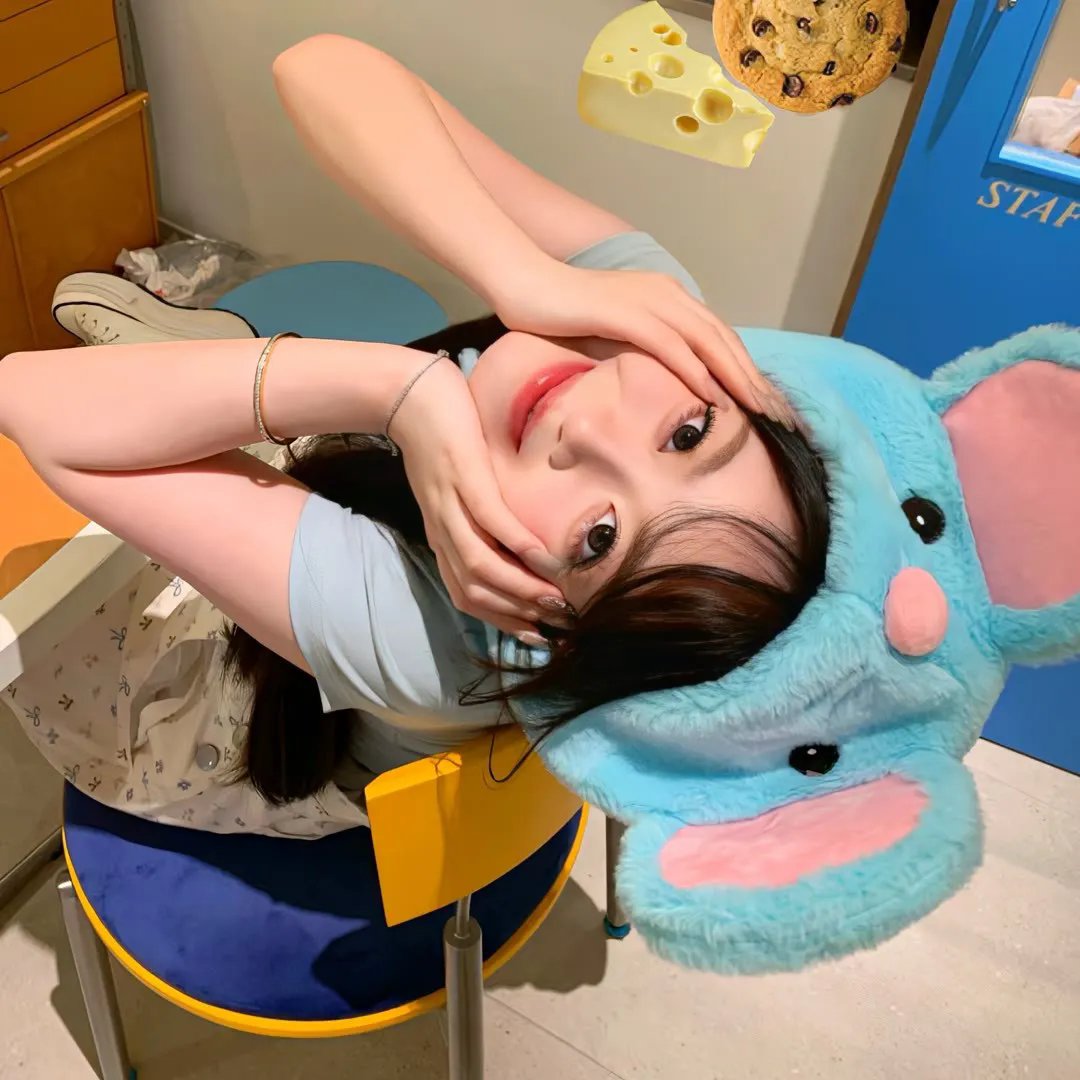 择君记 在线观看